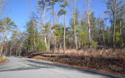 23 Skyport Of Blue Ridg Blue Ridge Blue Ridge, GA 30513 - Photo 1 of 1 Main View