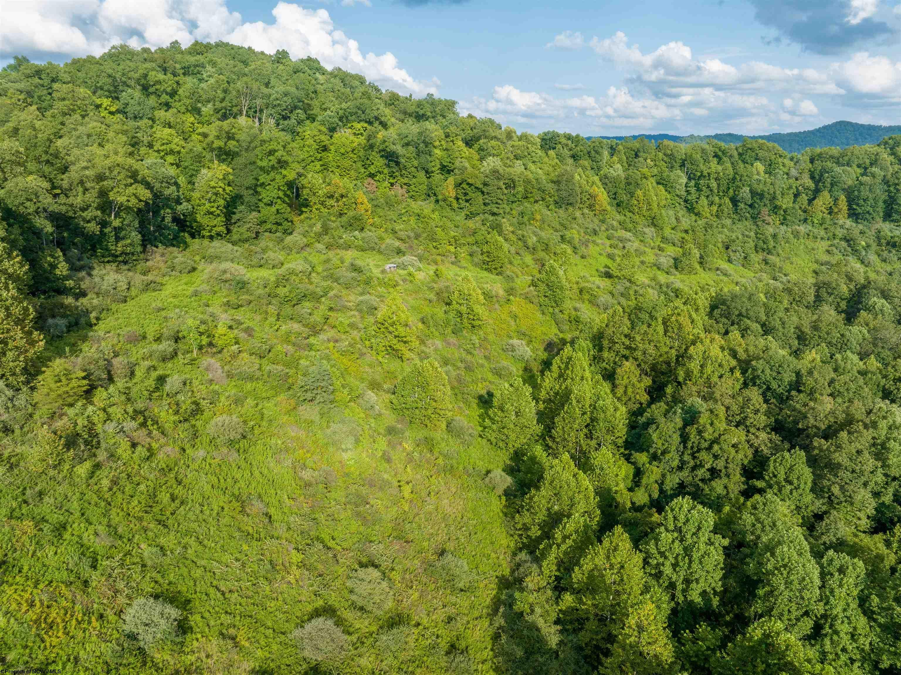 Tbd Green Valley Road Buckhannon, WV 26201 - Photo 44 of 49 Gallery Image 44