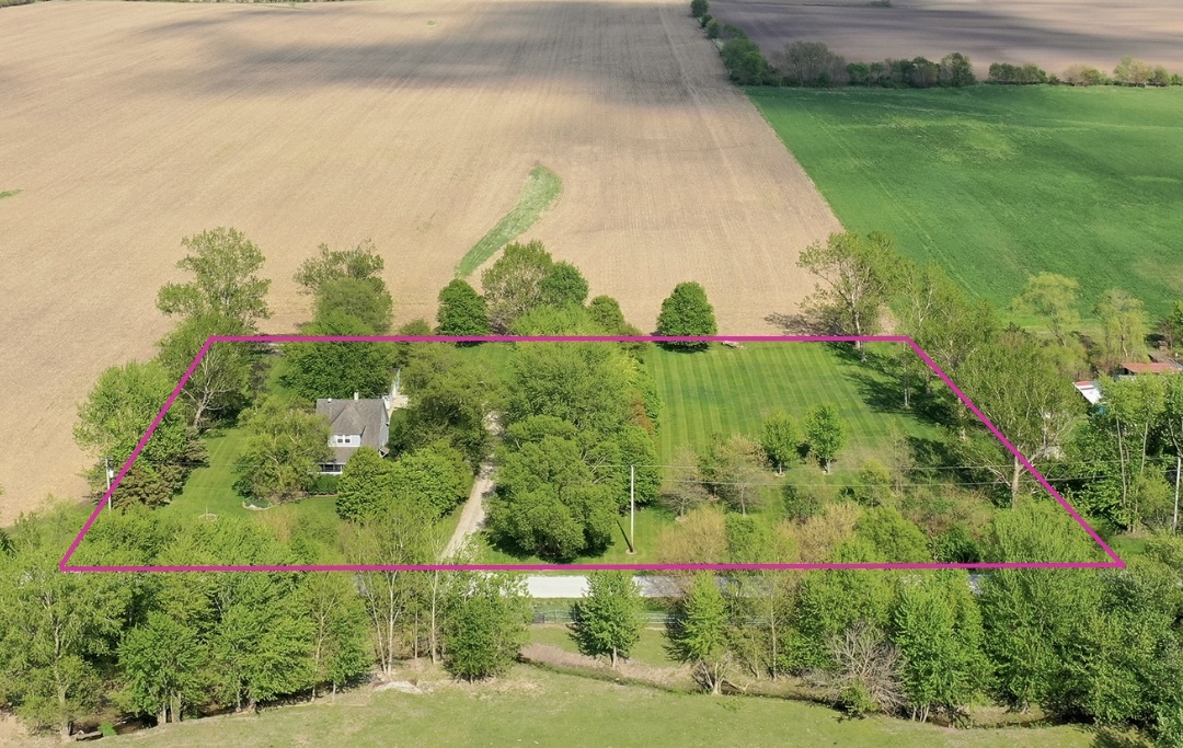 a view of a garden with a flower garden