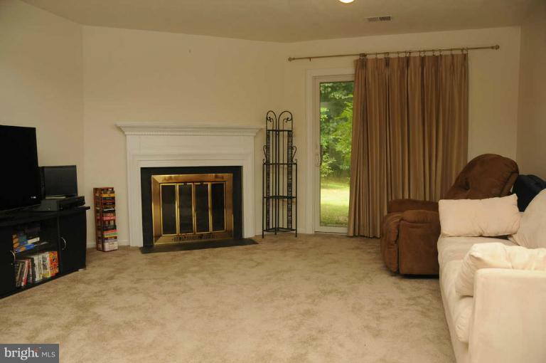 7928 Forest Path Way Springfield, VA 22153 - Photo 12 of 20 Family Room with fireplace and walkout to woods