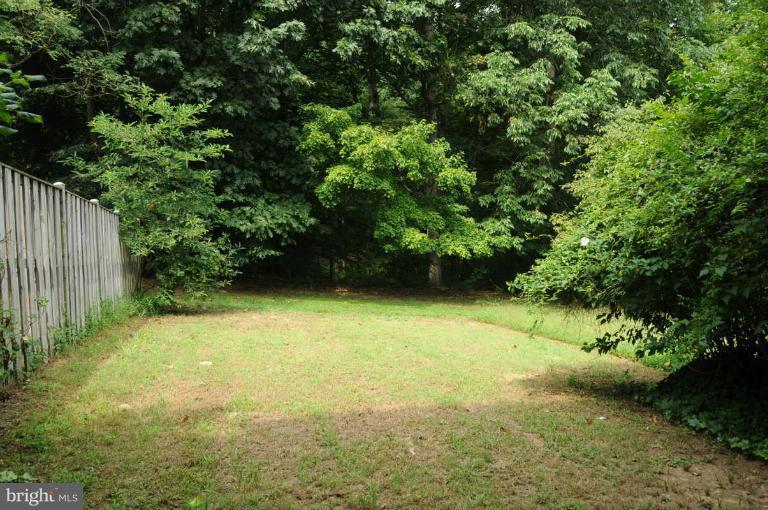 7928 Forest Path Way Springfield, VA 22153 - Photo 9 of 20 Backyard backing to woods
