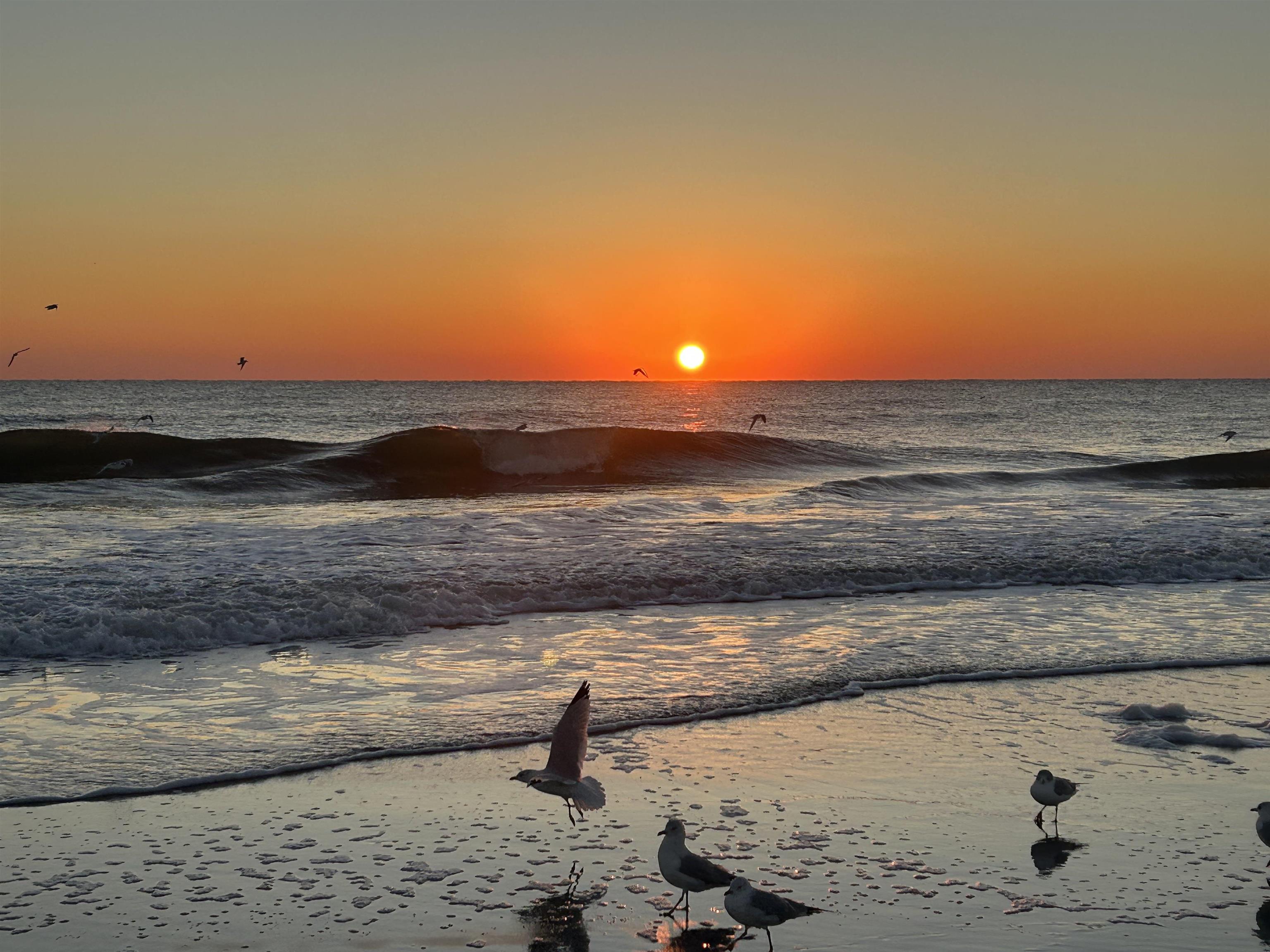 206 Madrid Street St. Augustine, FL 32080 - Photo 8 of 8 Water view featuring local beach