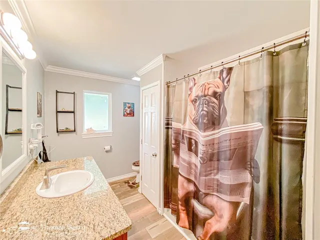 a bathroom with a granite countertop shower a sink and a mirror