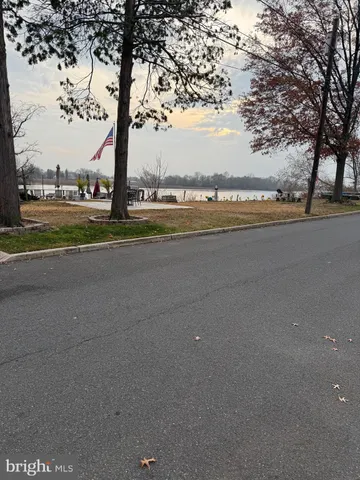 a view of lake with trees