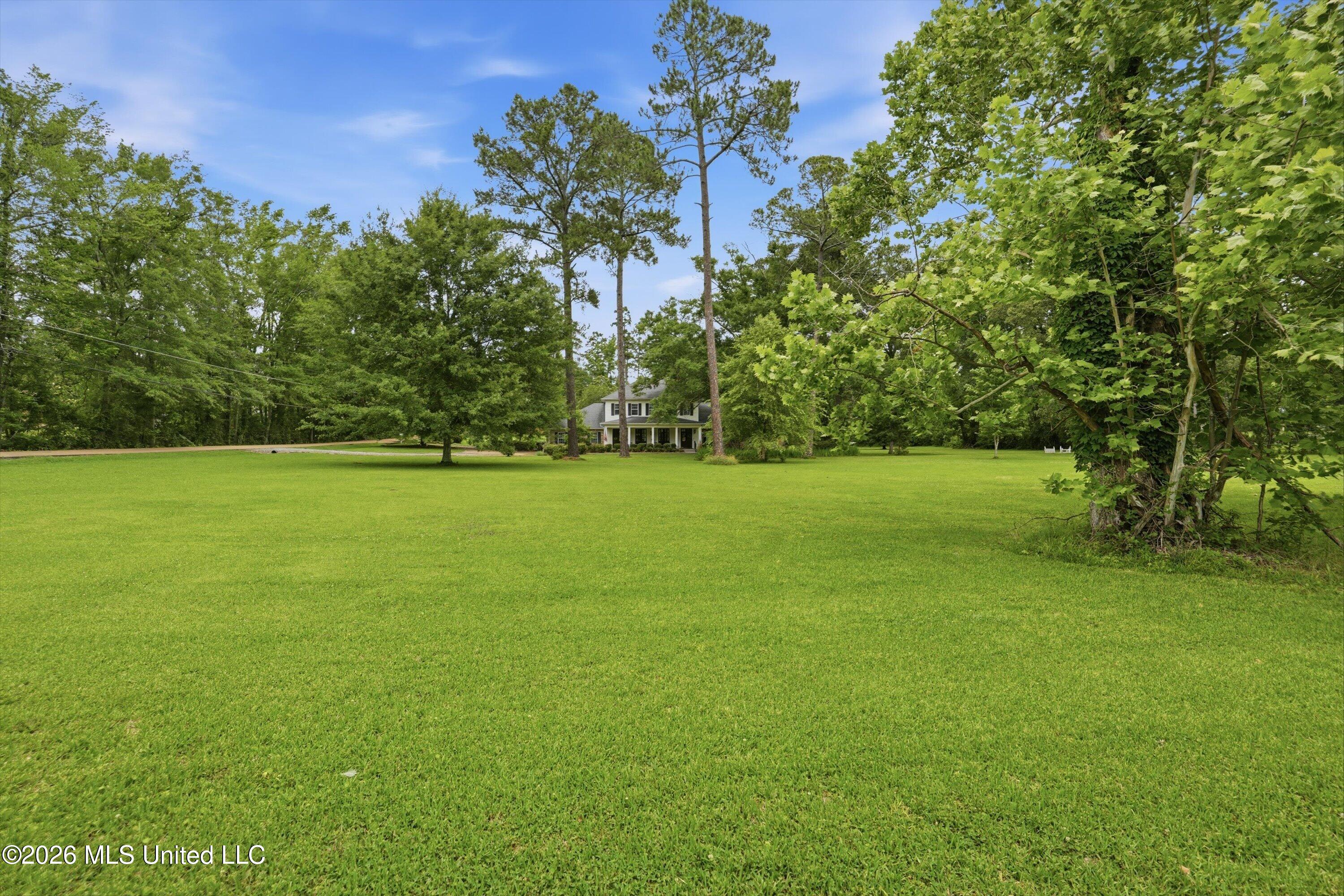 100 City Limits Road Brandon, MS 39042 - Photo 5 of 70 06-100_City_Limits_KB_Retake_010