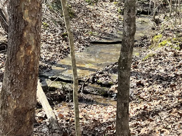 $59,000 | 120 Holly Bend Drive, Byrdstown, TN 38549