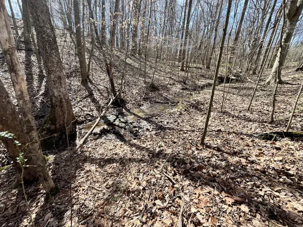 $59,000 | 120 Holly Bend Drive, Byrdstown, TN 38549