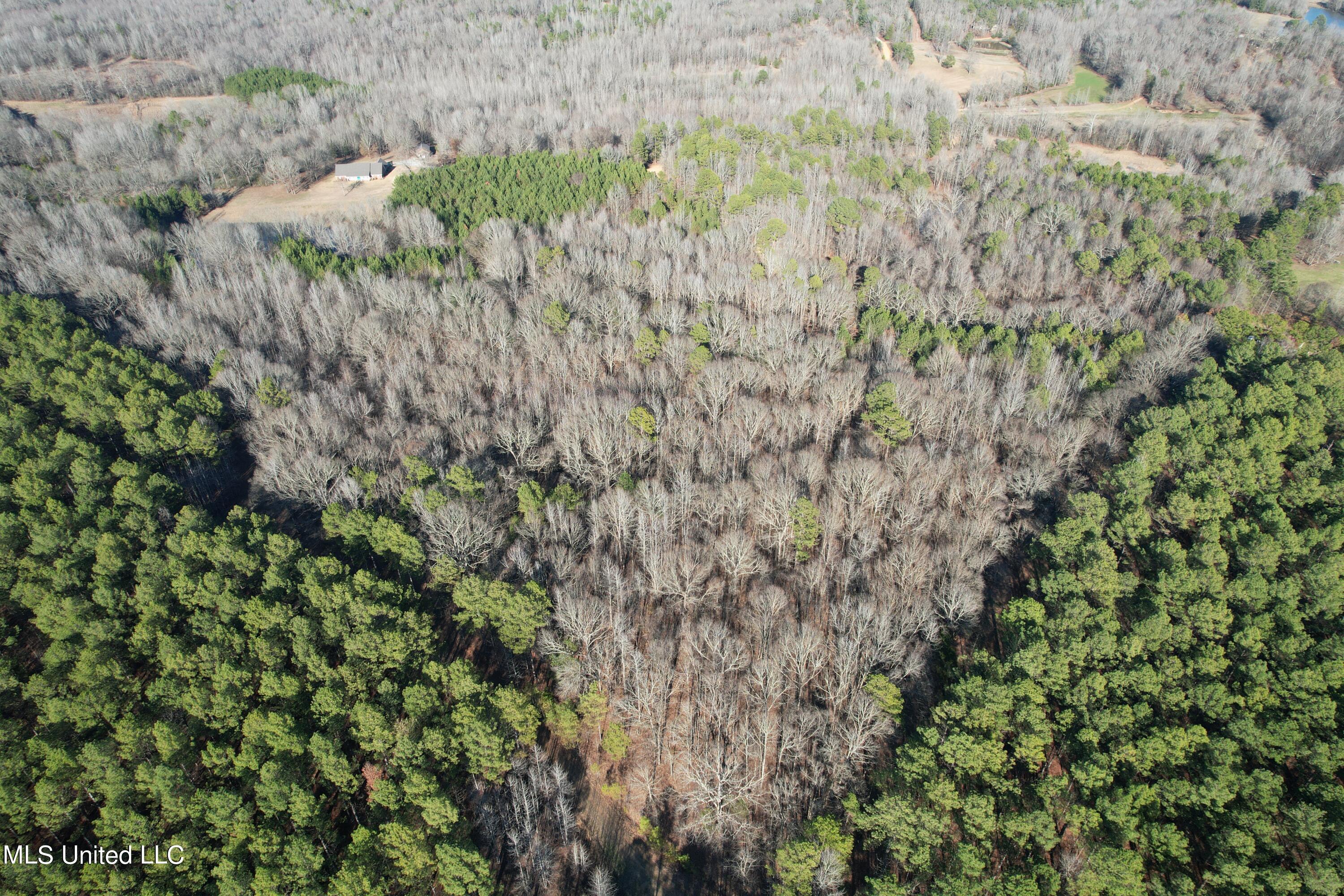 Off Nason Road Road Holcomb, MS 38940 - Photo 1 of 13 14 grenada