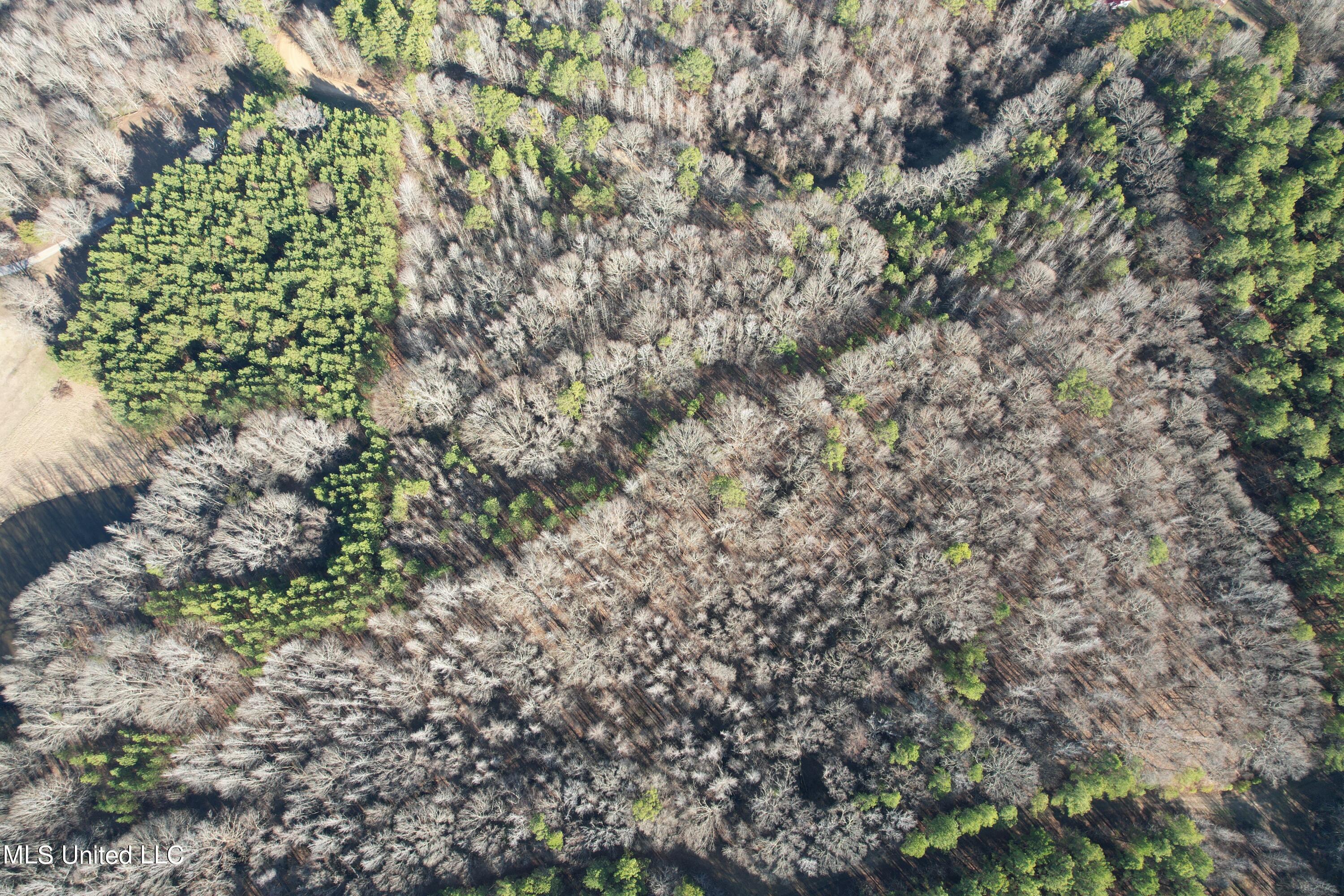 Off Nason Road Road Holcomb, MS 38940 - Photo 2 of 13 DJI_0388