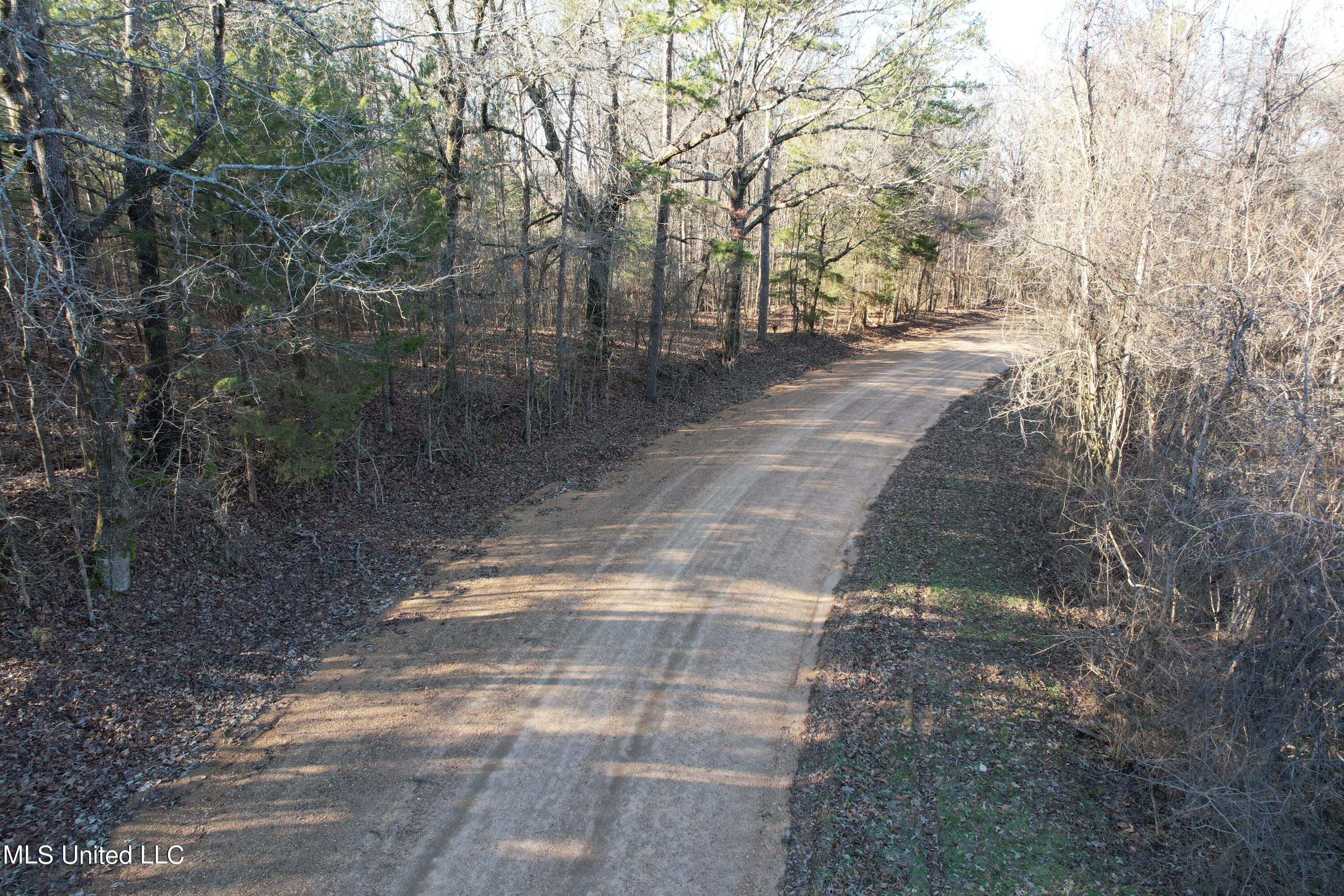 Off Nason Road Road Holcomb, MS 38940 - Photo 4 of 13 DJI_0391