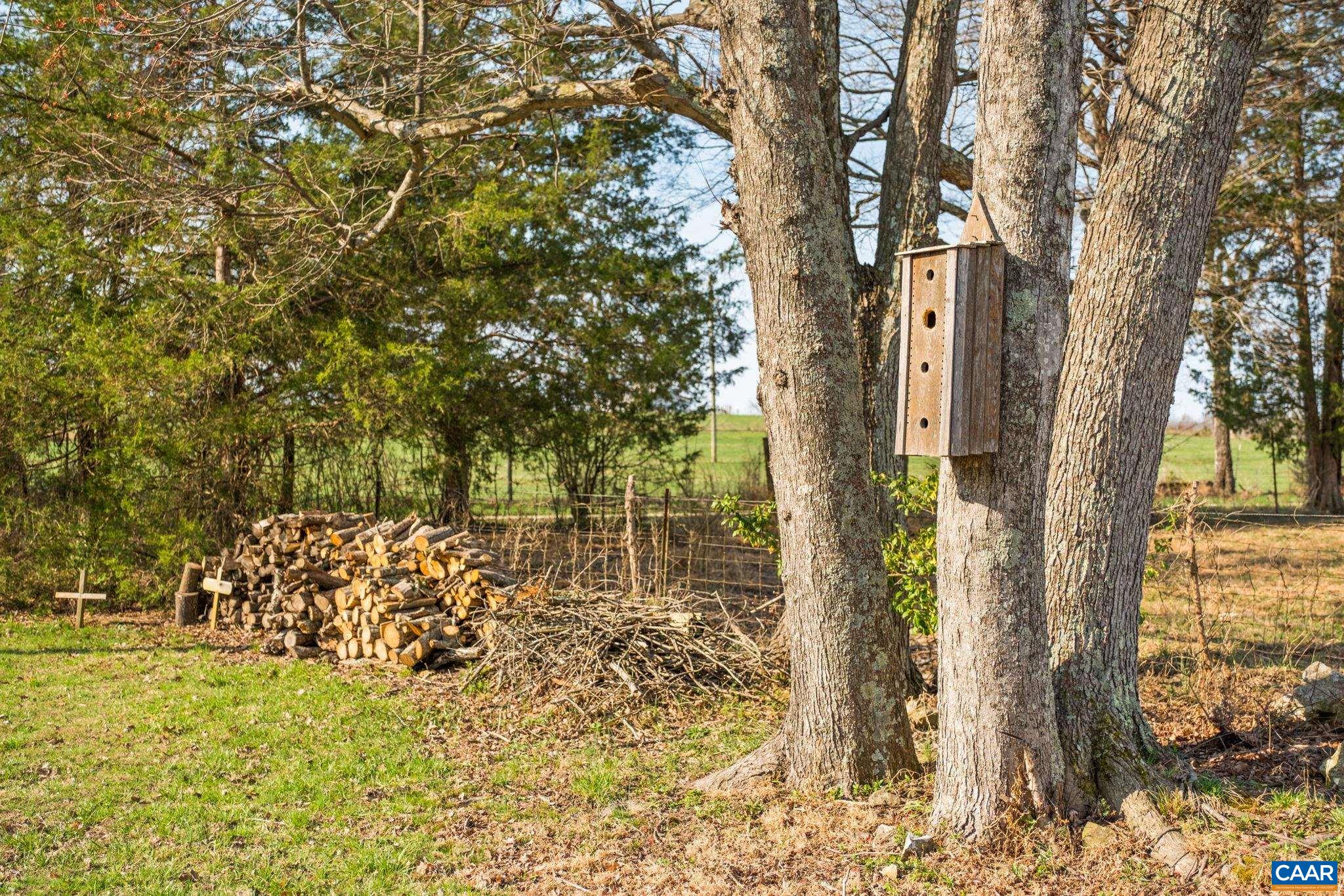 3201 Old Rose Mill Road Piney River, VA 22964 - Photo 38 of 46