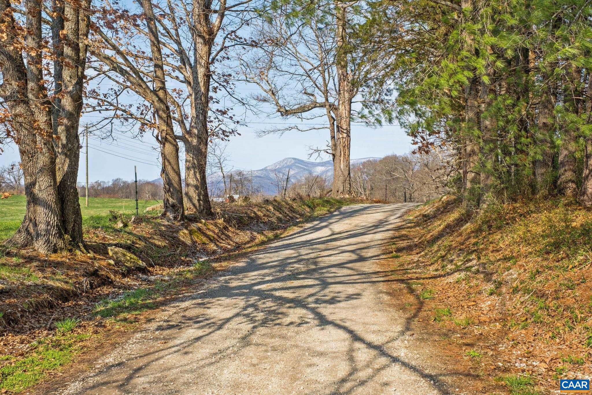 3201 Old Rose Mill Road Piney River, VA 22964 - Photo 42 of 46