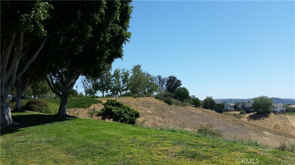 26082 Rio Grande Avenue Laguna Hills, CA 92653 - Photo 10 of 29 a view of a yard with palm tree