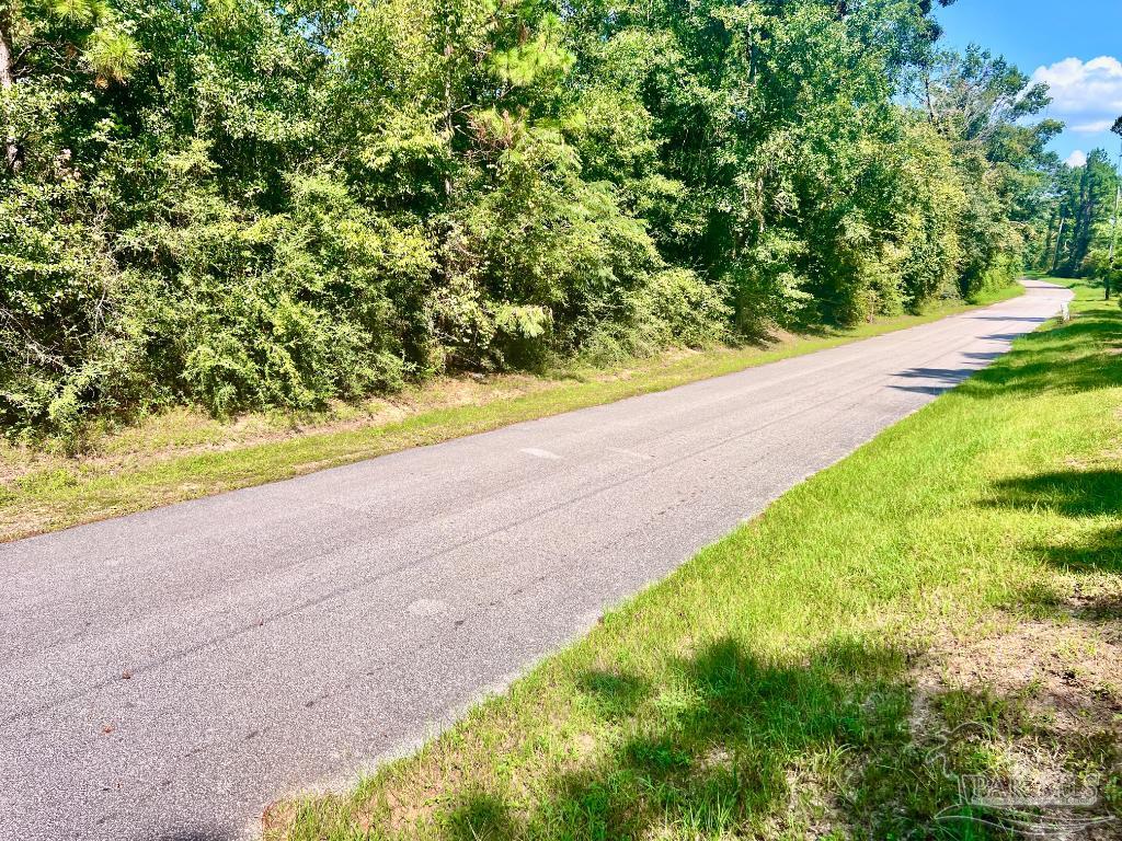Lot 15 Sid Hayes Road Jay, FL 32565 - Photo 7 of 12