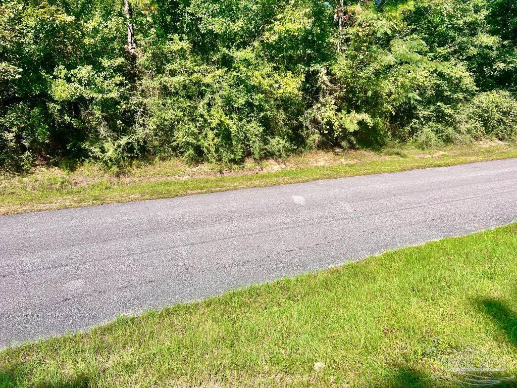 Lot 15 Sid Hayes Road Jay, FL 32565 - Photo 8 of 12