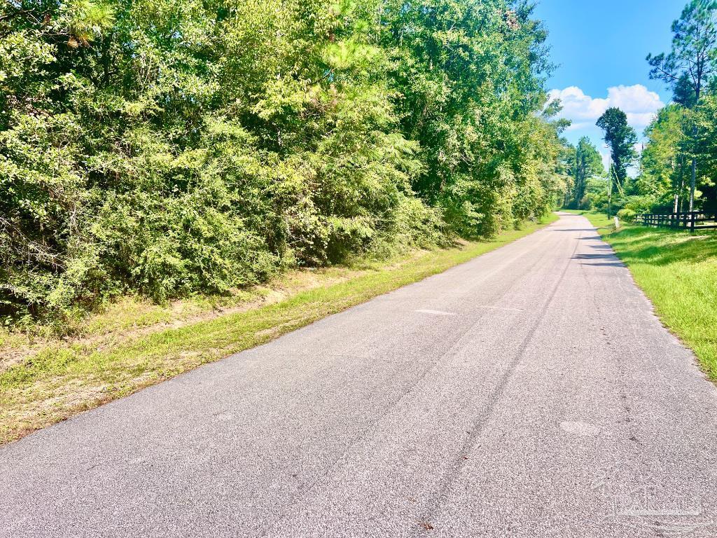 Lot 15 Sid Hayes Road Jay, FL 32565 - Photo 9 of 12