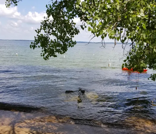 $749,900 | 14224 Skyline Drive, Spicer, MN 56288