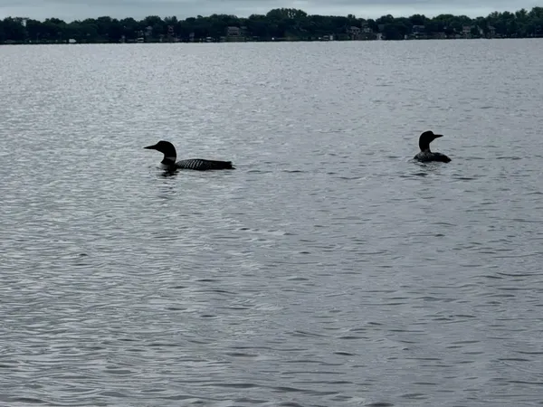 $749,900 | 14224 Skyline Drive, Spicer, MN 56288