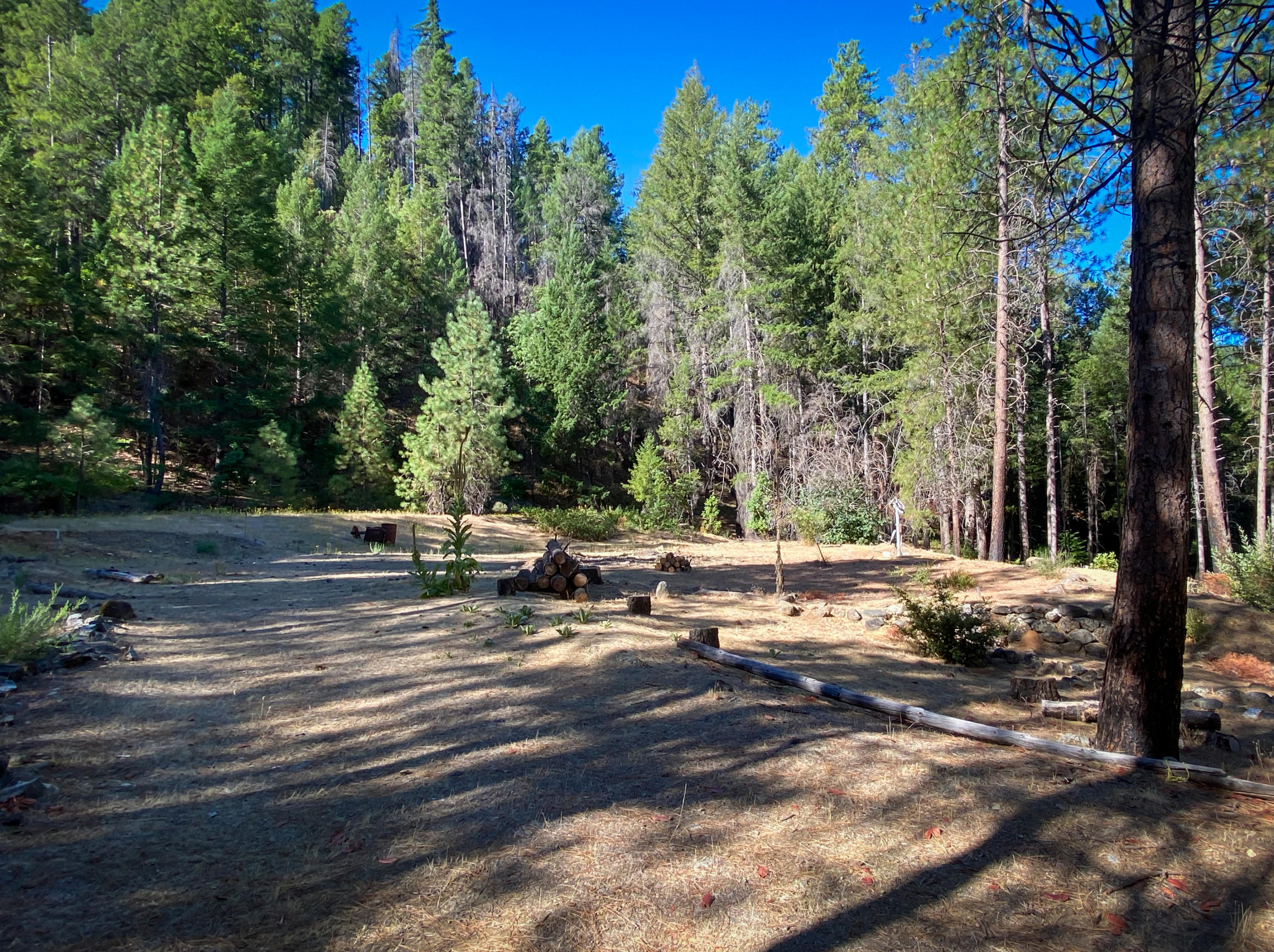 2041 Wintu Pass Road Junction City, CA 96048 - Photo 12 of 35 Flat Area in Back Yard