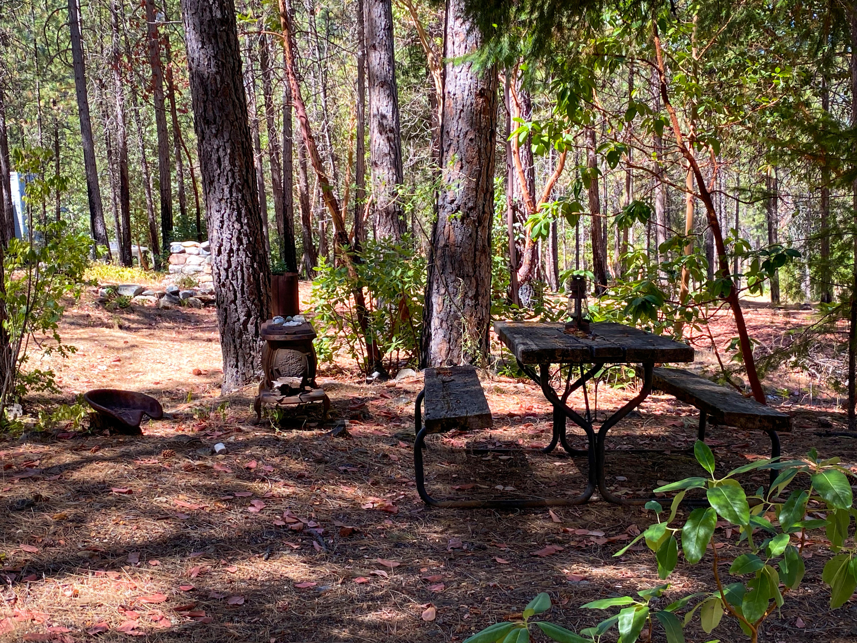 2041 Wintu Pass Road Junction City, CA 96048 - Photo 28 of 35 Picnic Area