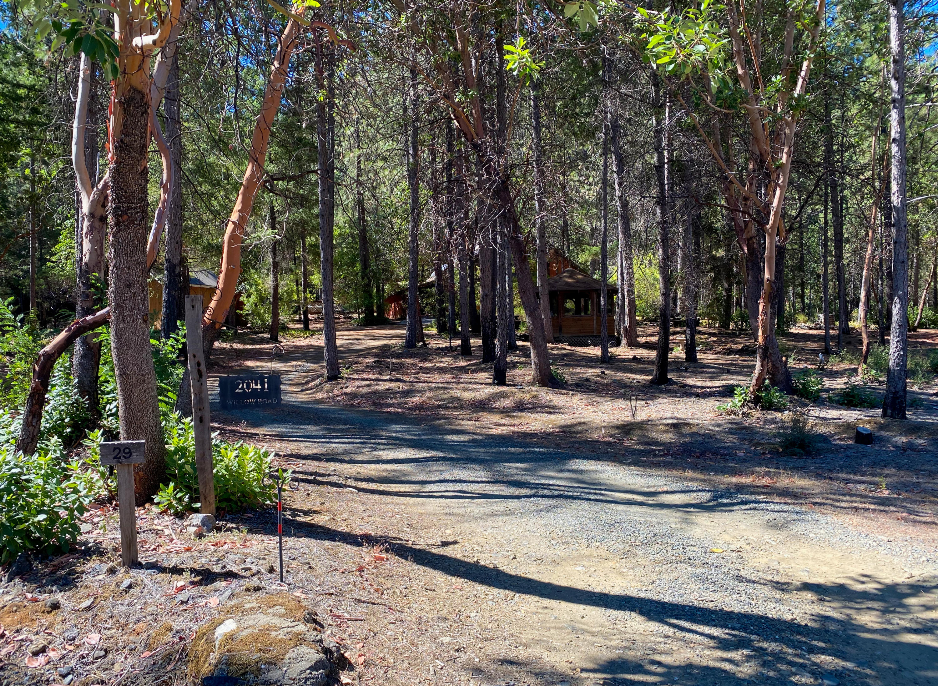 2041 Wintu Pass Road Junction City, CA 96048 - Photo 29 of 35 Driveway to Home