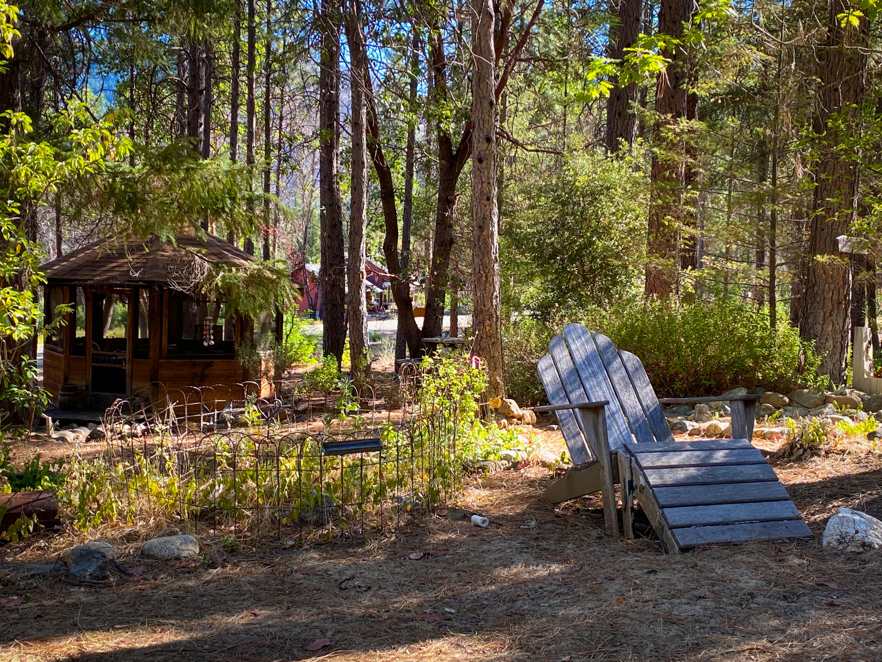 2041 Wintu Pass Road Junction City, CA 96048 - Photo 4 of 35 Outdoor Spaces