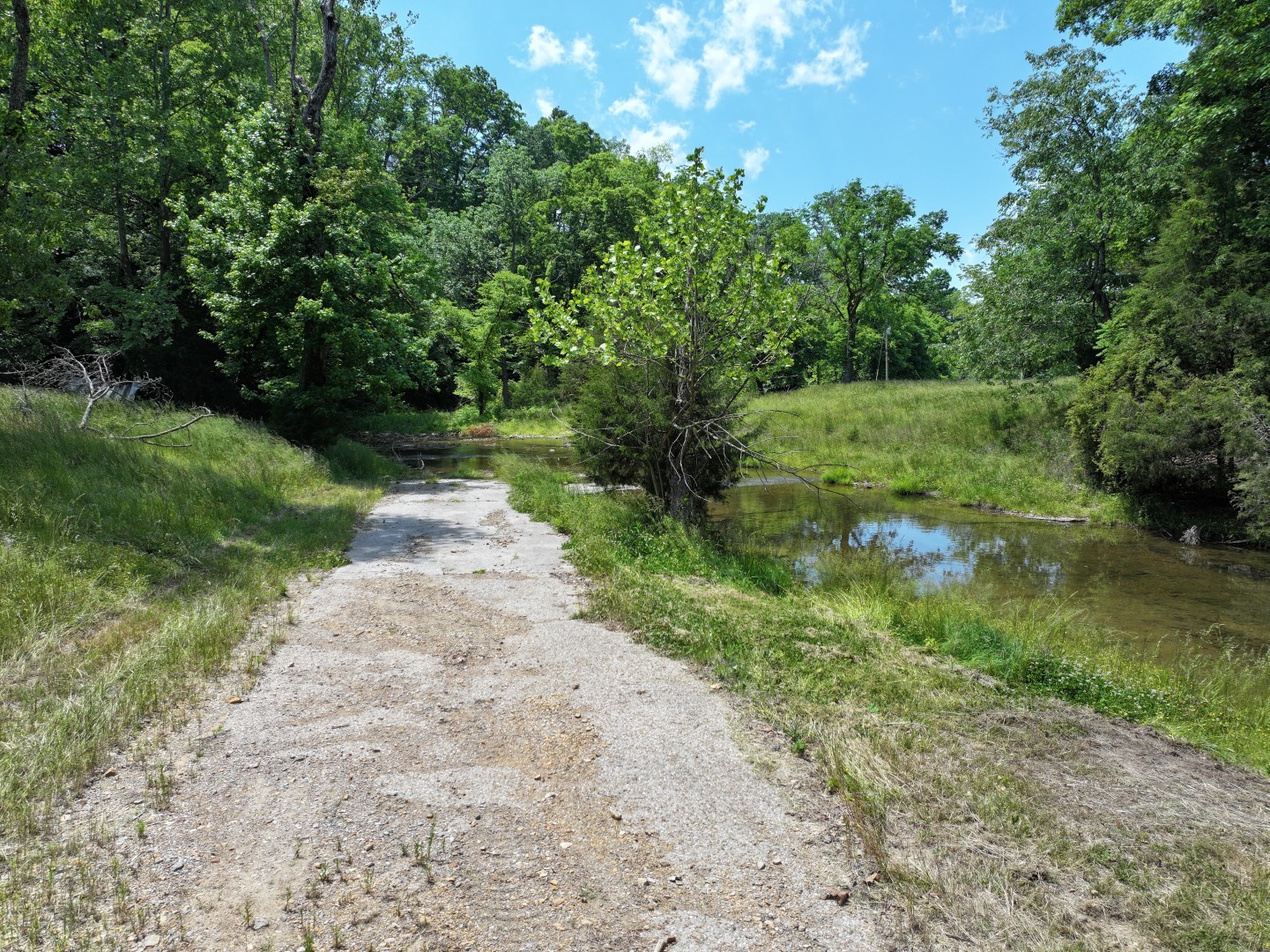 110 Wade Reed Road White Bluff, TN 37187 - Photo 41 of 80