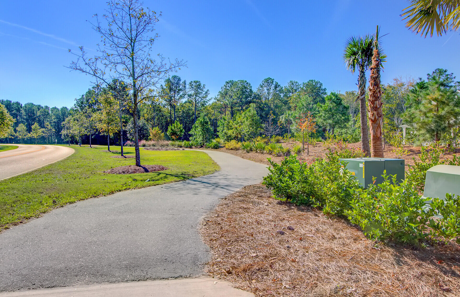 1780 Bolden Drive Mount Pleasant, SC 29466 - Photo 65 of 105 13_14_mls