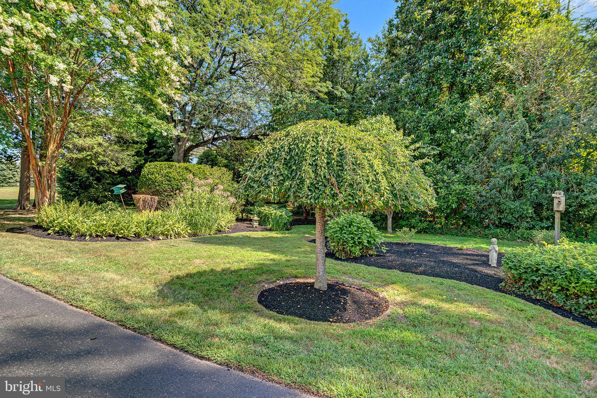 164 Ellisdale Road Allentown, NJ 08501 - Photo 4 of 67 Gallery Image 4