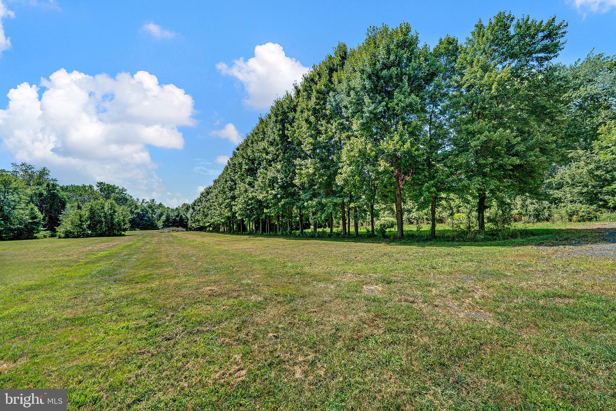 164 Ellisdale Road Allentown, NJ 08501 - Photo 62 of 67 Gallery Image 62