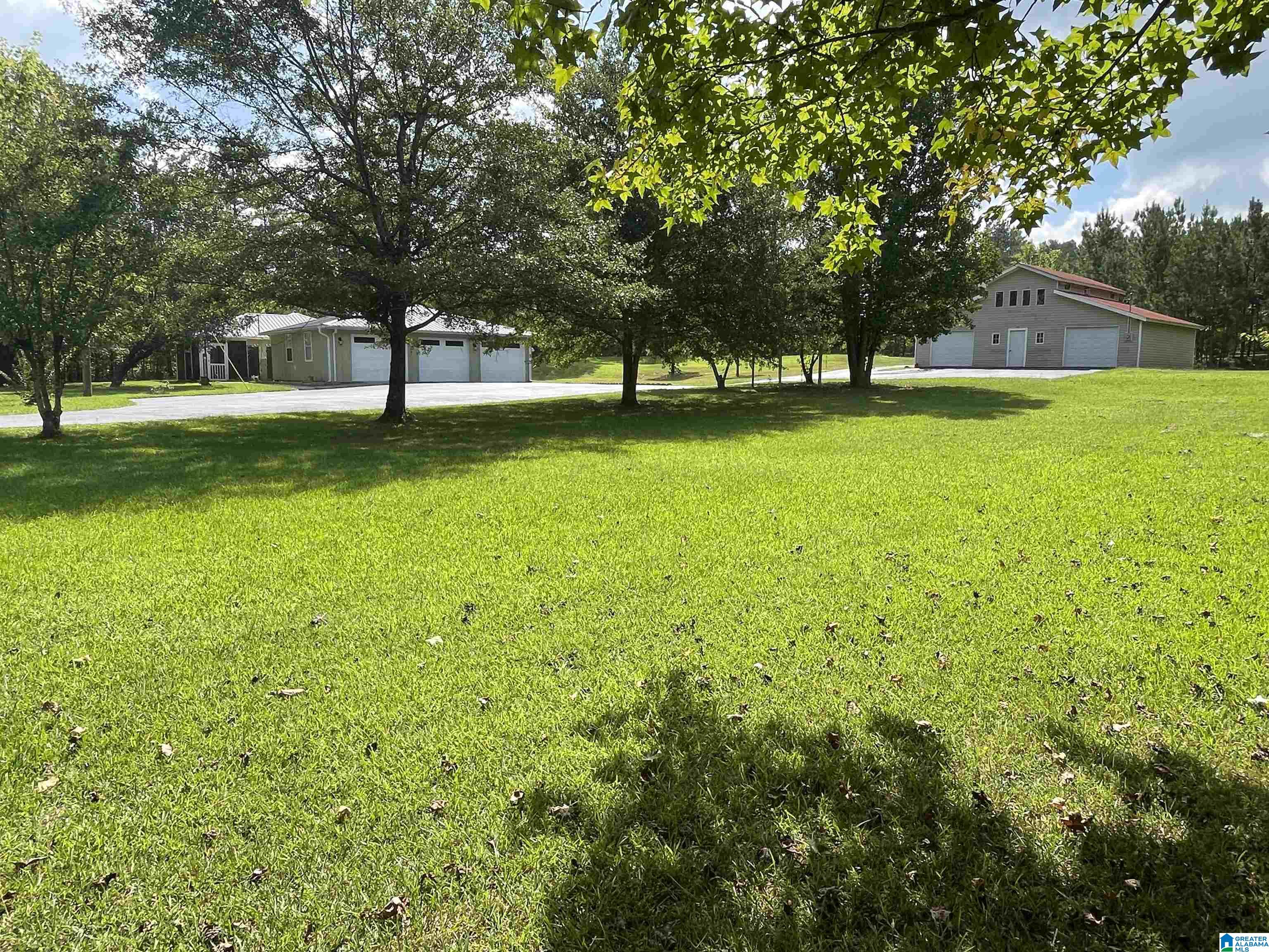 3304 Possum Trot Road Piedmont, AL 36272 - Photo 58 of 60