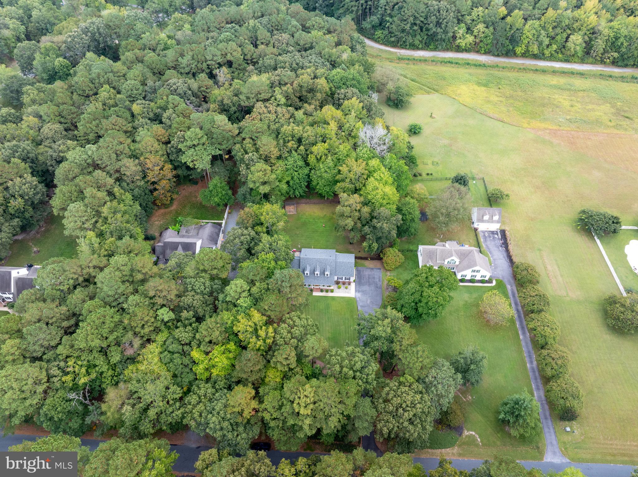26585 Quantico Creek Road Hebron, MD 21830 - Photo 52 of 58 Nestled in by tree's for lots of privacy!