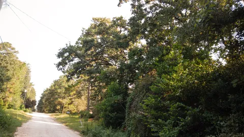 a view of a tree in a yard
