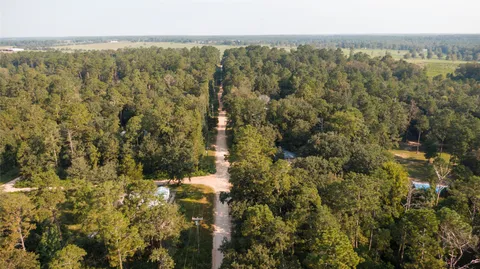 a view of a city with lush green forest