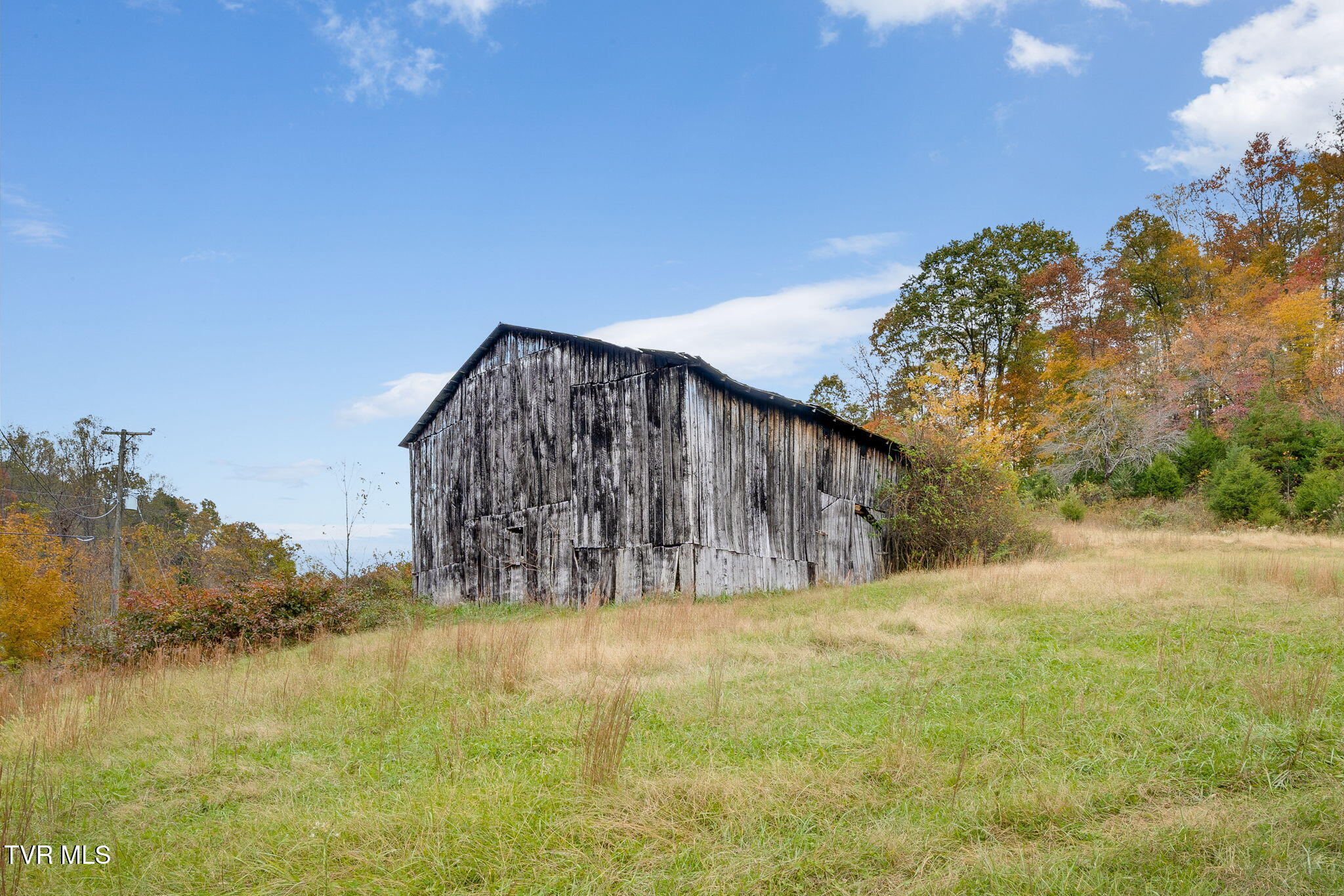 1251 Purchase Ridge Road Duffield, VA 24244 - Photo 7 of 34 030