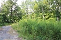 12 Flagg Hill Road Erving, MA 01344 - Photo 3 of 8 a view of a lush green forest