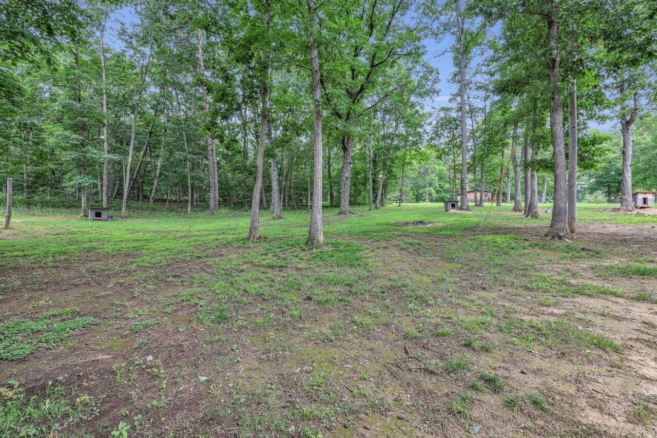 1165 Hugh Allison Road Pikeville, TN 37367 - Photo 12 of 25 Hugh Allison 1