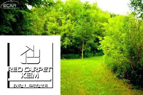 14131 North Bray Road Clio, MI 48420 - Photo 34 of 36 20444143-33.JPG