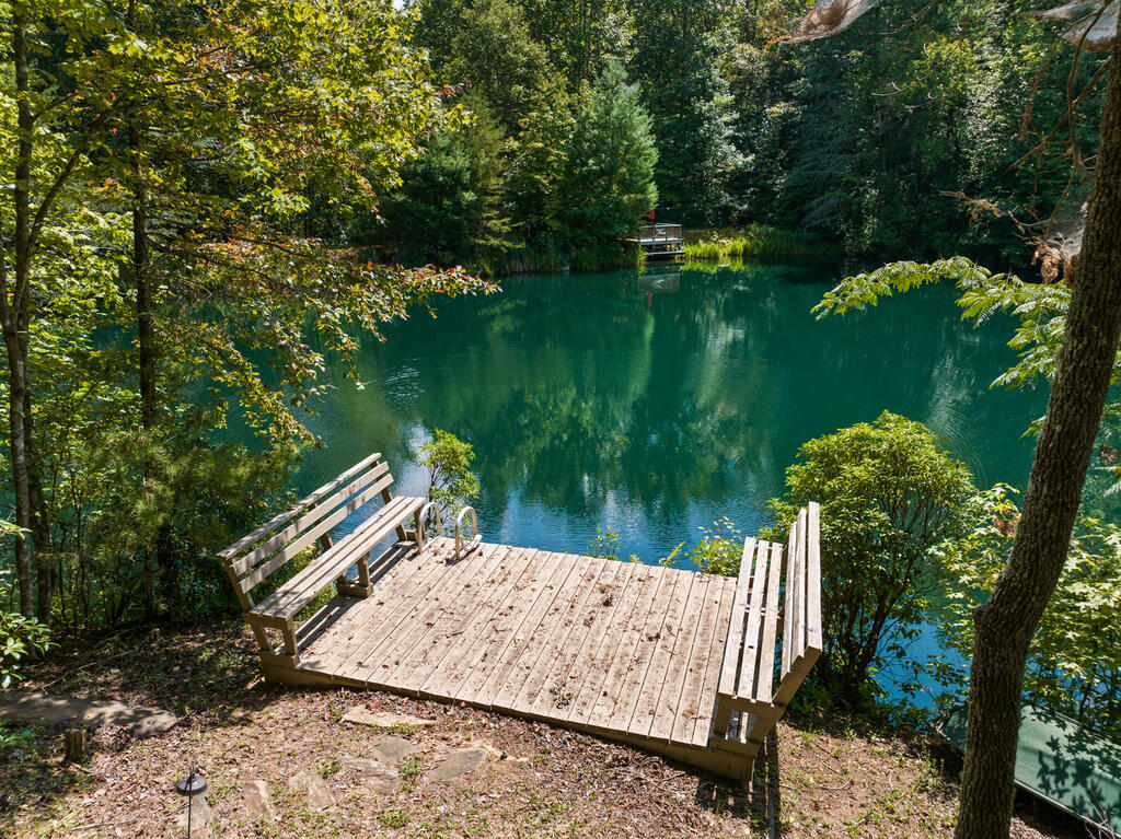 44-45 Overlook Drive Blue Ridge, GA 30513 - Photo 5 of 27 Gallery Image 5