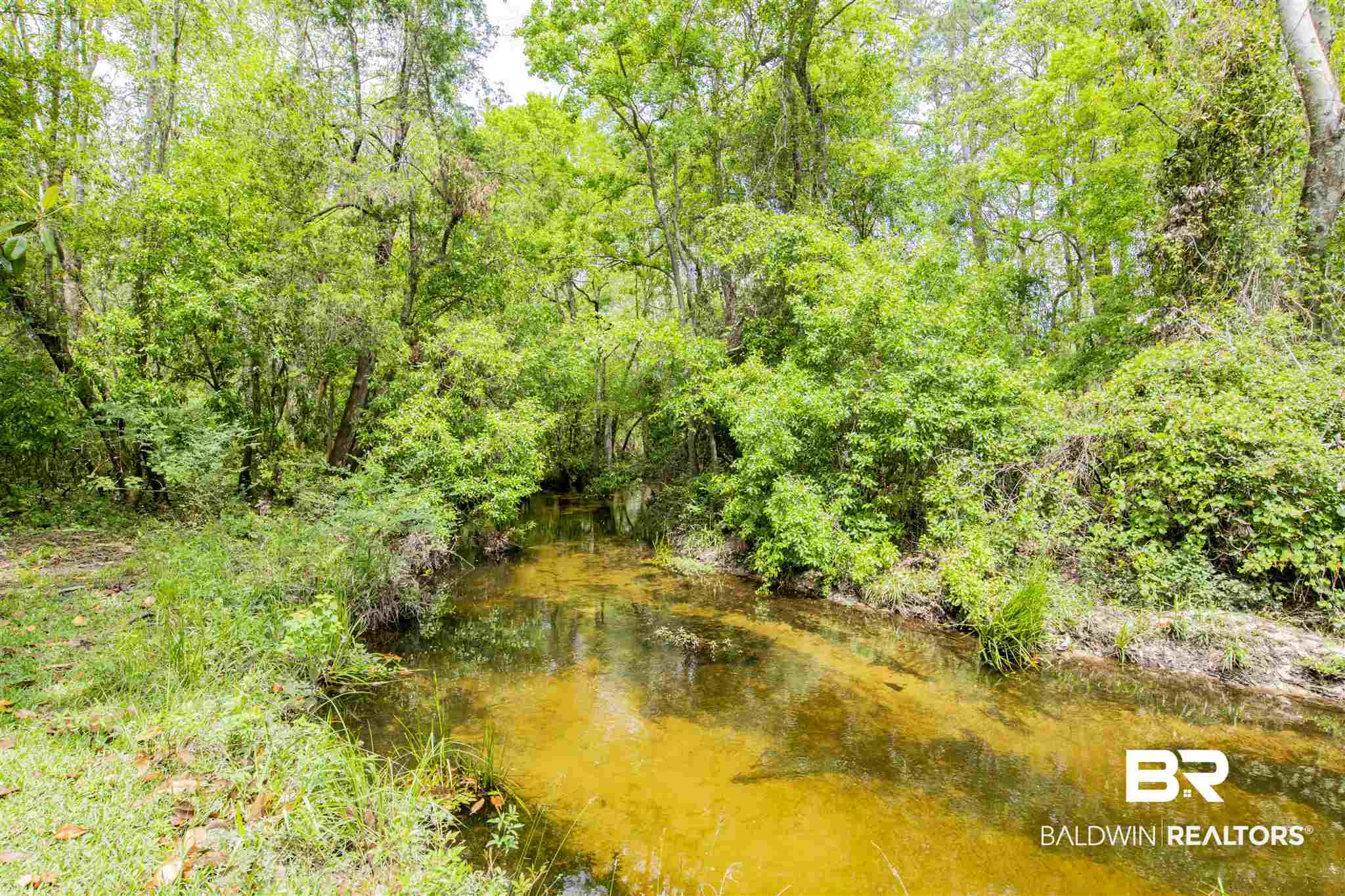 22599 Highway 98 Foley, AL 36535 - Photo 39 of 49