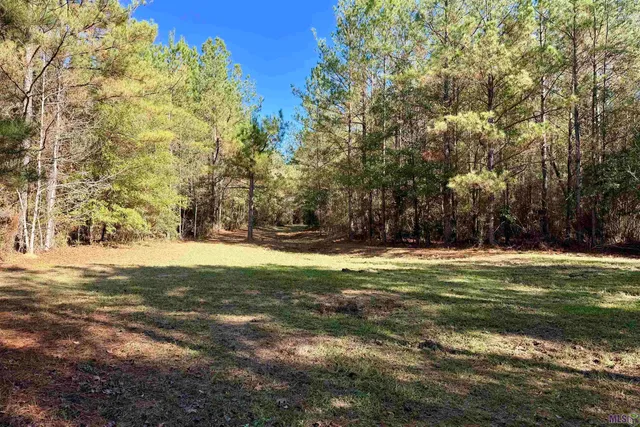 $859,900 | 3 La Highway, Amite, LA 70422