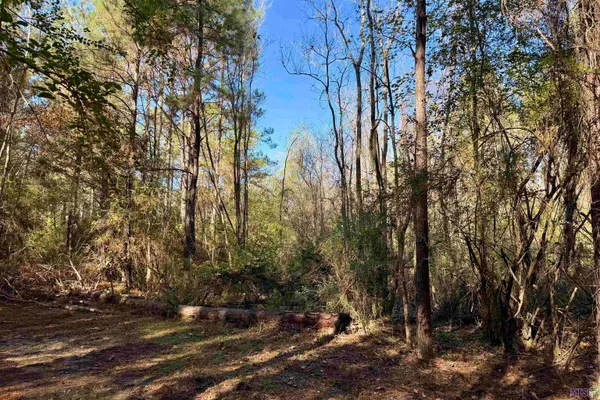 $833,488 | 3 La Highway, Amite, LA 70422