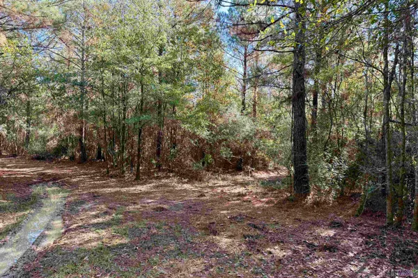 $833,488 | 3 La Highway, Amite, LA 70422