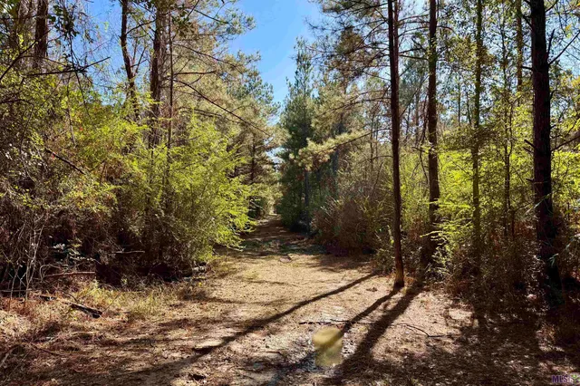 $859,900 | 3 La Highway, Amite, LA 70422