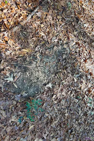 $859,900 | 3 La Highway, Amite, LA 70422