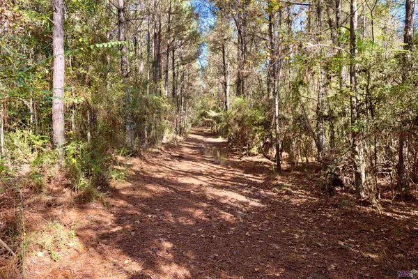 $833,488 | 3 La Highway, Amite, LA 70422