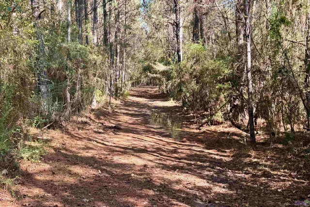 $859,900 | 3 La Highway, Amite, LA 70422