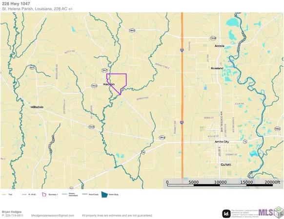 $833,488 | 3 La Highway, Amite, LA 70422