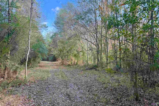 $859,900 | 3 La Highway, Amite, LA 70422