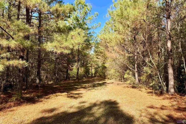 $859,900 | 3 La Highway, Amite, LA 70422